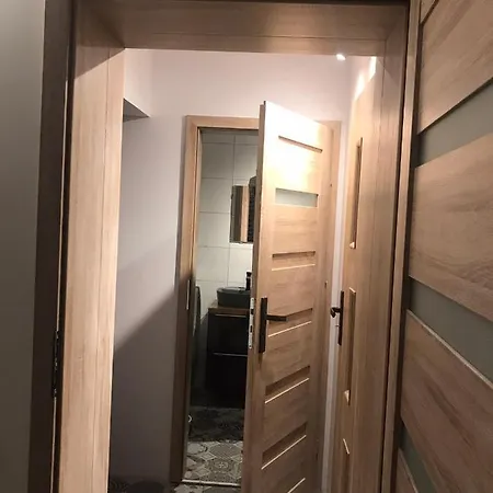 Cozy فيلة