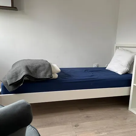 Cozy فيلة *